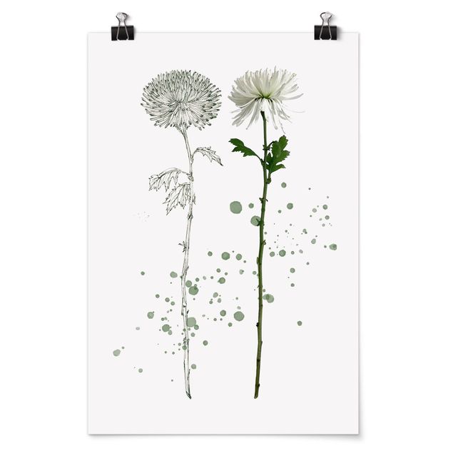 Posters Botanical Watercolour - Dandelion