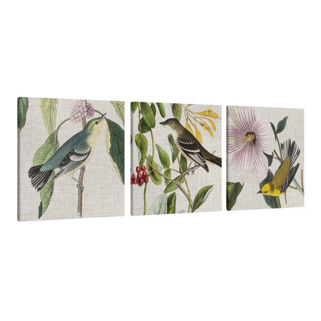 Canvas schilderijen - 3-delig Birds On Linen Set I