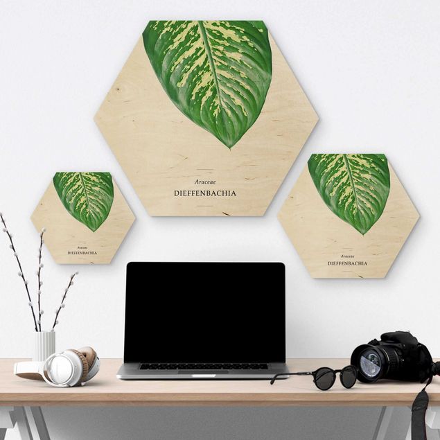 Hexagons houten schilderijen Tropical Leaf Dieffenbachia