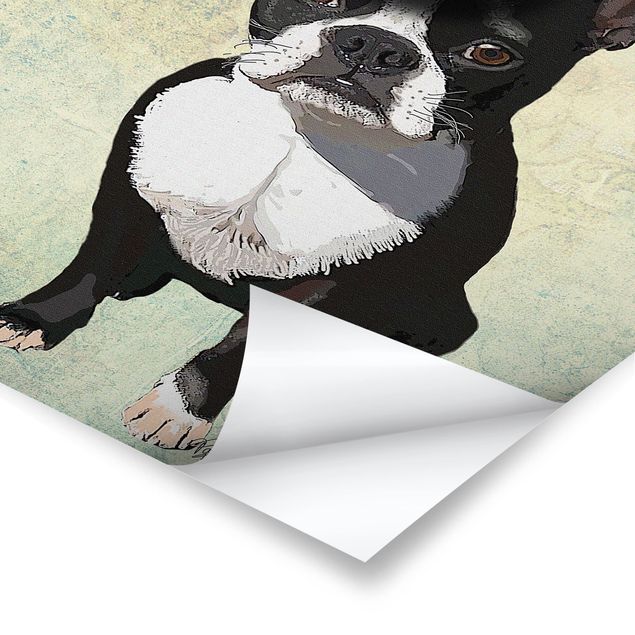 Posters Animal Portrait - Terrier King