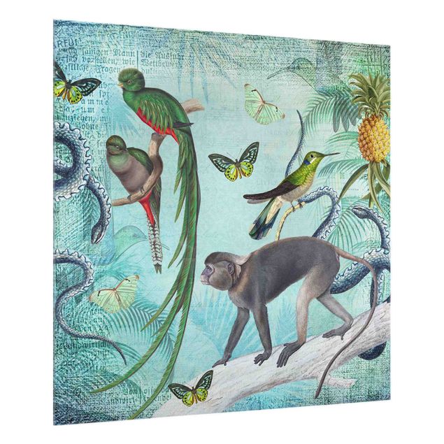 Spatscherm keuken Colonial Style Collage - Monkeys And Birds Of Paradise
