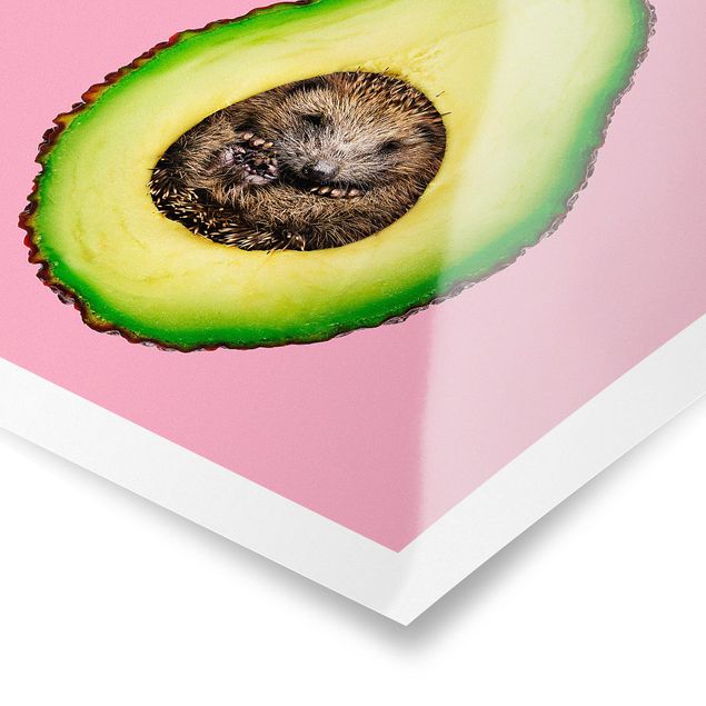 Posters Avocado With Hedgehog