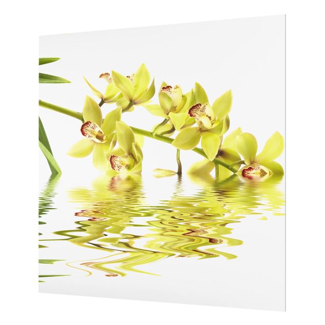 Spatscherm keuken Elegant Orchid Waters