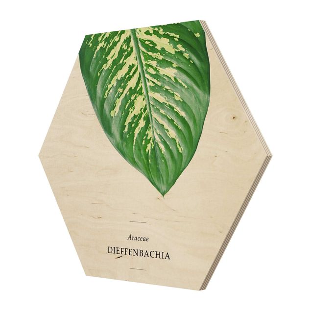 Hexagons houten schilderijen Tropical Leaf Dieffenbachia
