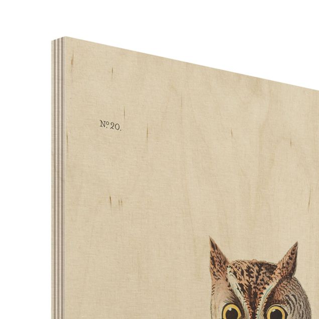 Houten schilderijen Vintage Board Screech Owl