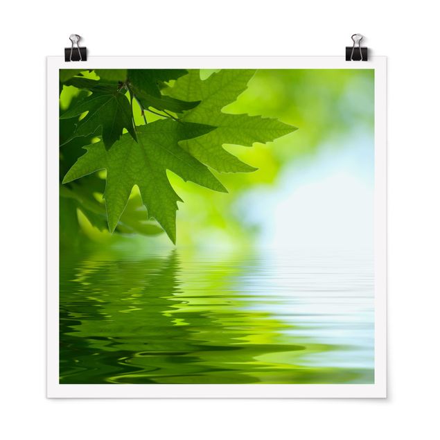 Posters Green Ambiance III