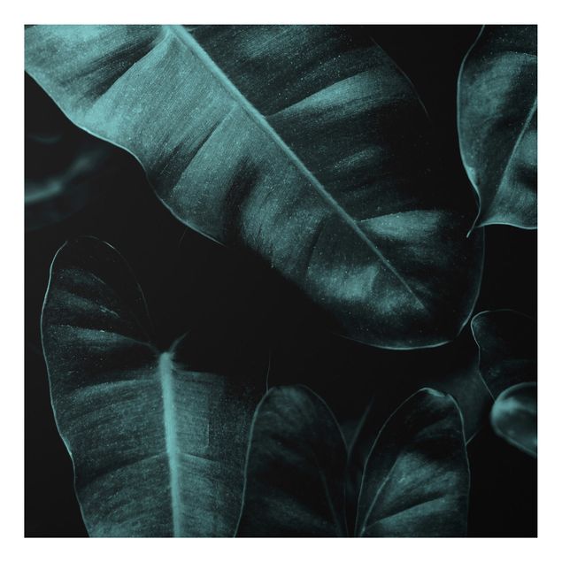 Aluminium Dibond schilderijen Jungle Leaves Dark Green