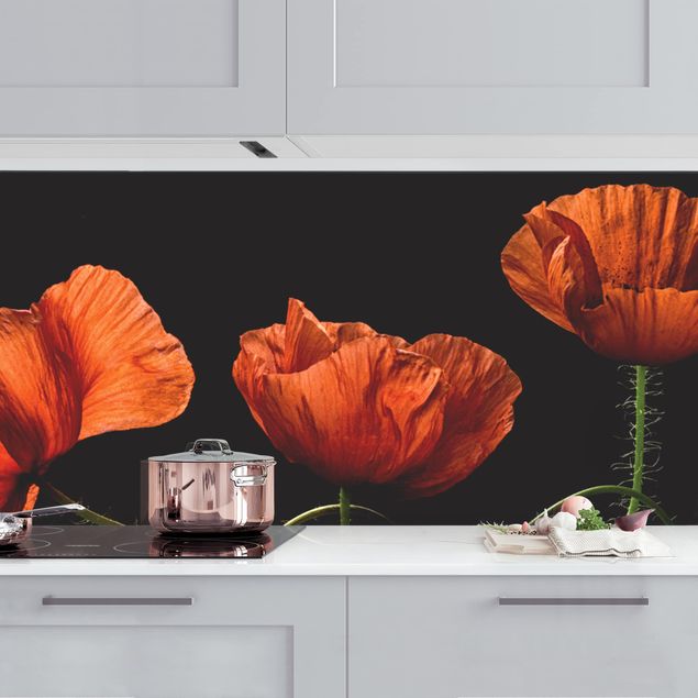 Achterwand voor keuken bloemen Poppies At Midnight