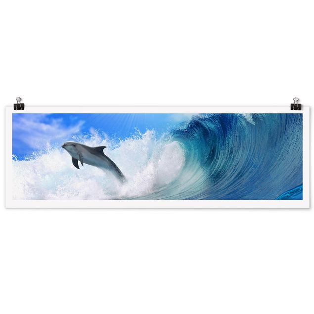 Posters Playing Dolphins