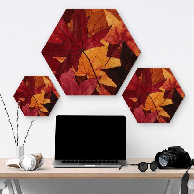 Hexagons houten schilderijen Coloured Leaves
