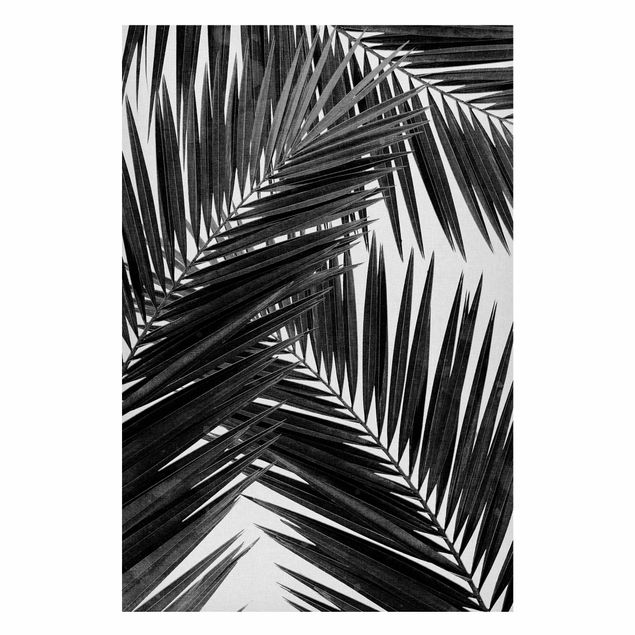 Magneetborden View Through Palm Leaves Black And White