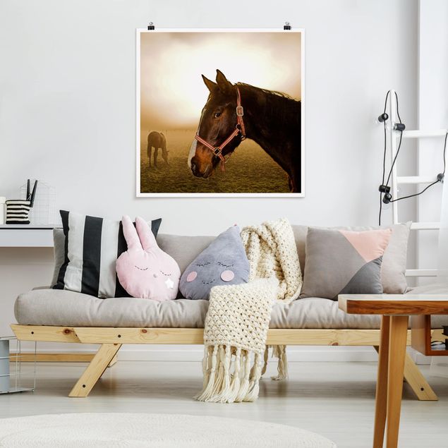 Posters Early Horse
