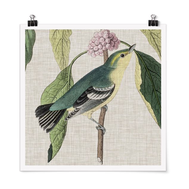 Posters Bird On Linen Pink I