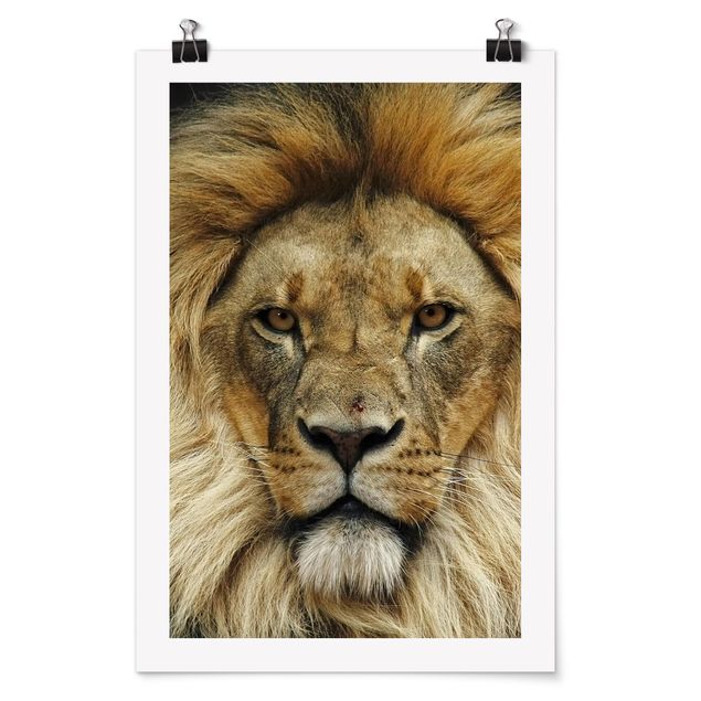 Posters Wisdom Of Lion