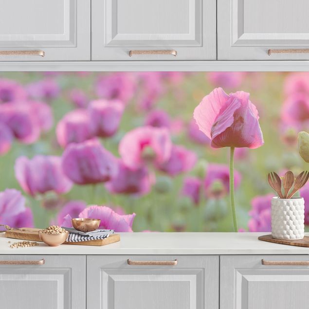 Achterwand voor keuken bloemen Purple Poppy Flower Meadow In Spring
