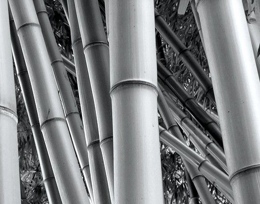 Tegelstickers Bamboo