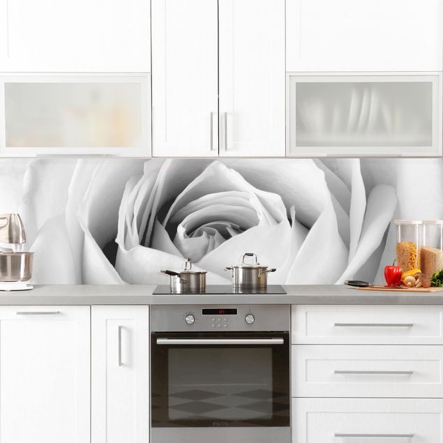 Achterwand voor keuken en zwart en wit Close Up Rose