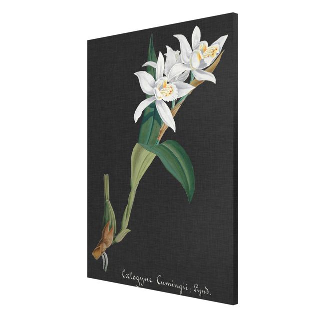 Magneetborden White Orchid On Linen II