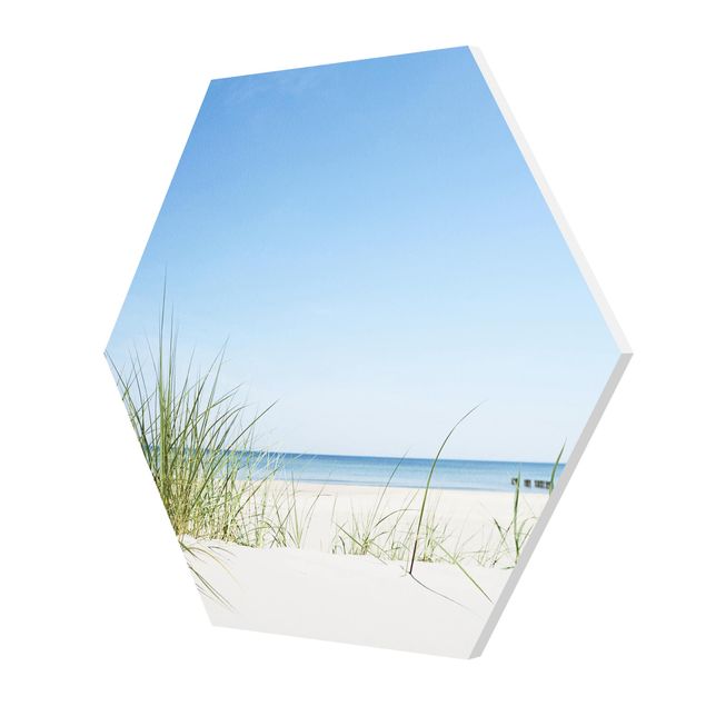 Hexagons Forex schilderijen Baltic Sea Coast