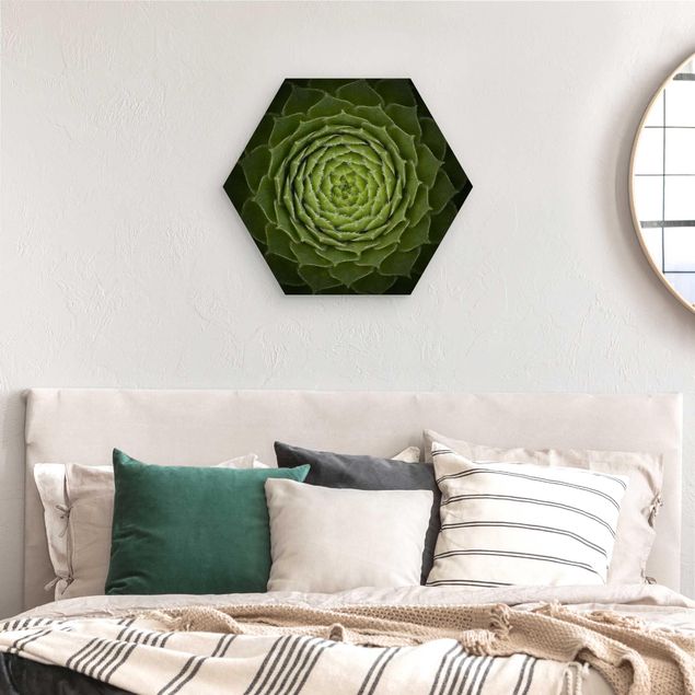 Hexagons houten schilderijen Mandala Succulent
