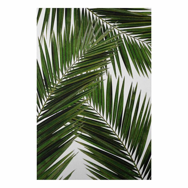 Aluminium Dibond schilderijen View Through Green Palm Leaves