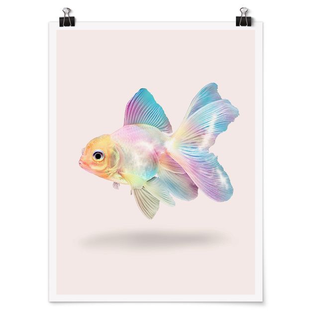 Posters Fish In Pastel