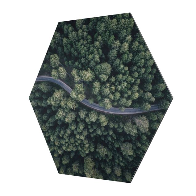 Hexagons Aluminium Dibond schilderijen Aerial View - Forest Road From The Top
