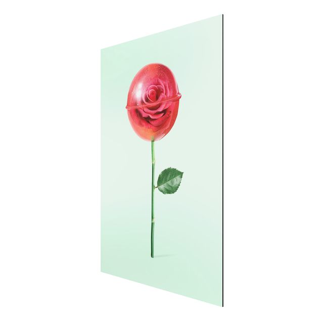 Aluminium Dibond schilderijen Rose With Lollipop