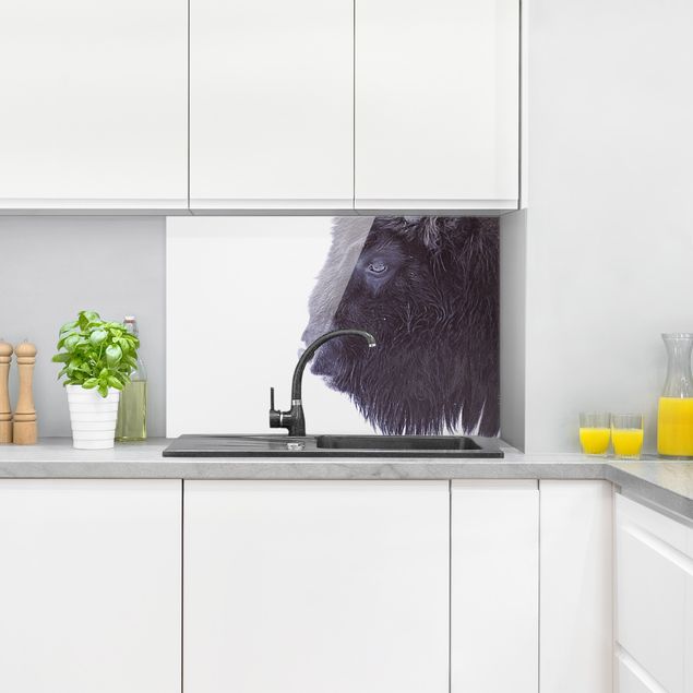Spatscherm keuken Portrait Of A Black Buffalo