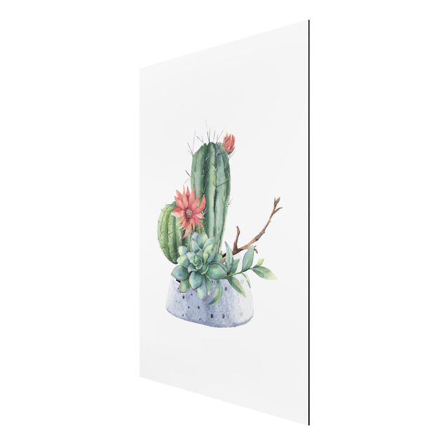 Aluminium Dibond schilderijen Watercolour Cacti Illustration