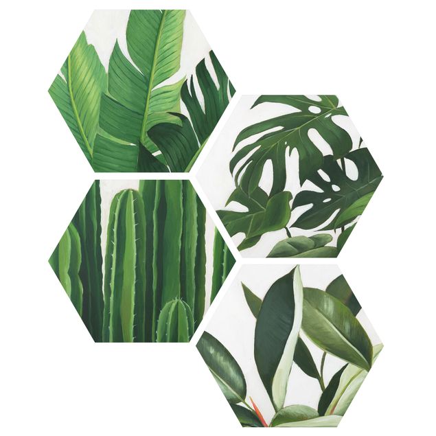 Hexagons Forex schilderijen - 4-delig Favorite Plants Tropical Set I