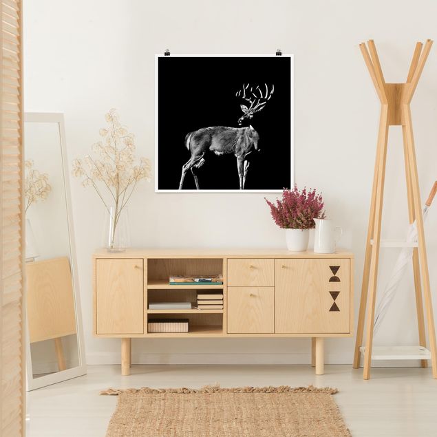 Posters Deer In The Dark