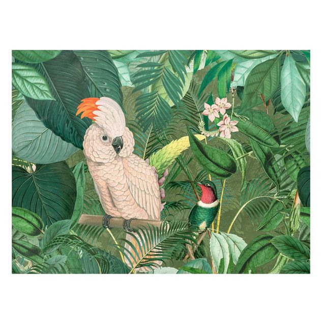 Magneetborden Vintage Collage - Kakadu And Hummingbird