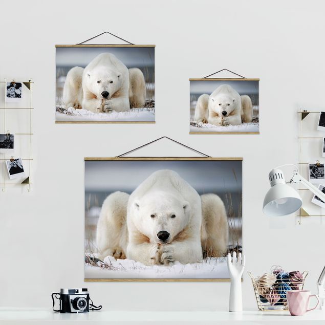Stoffen schilderij met posterlijst Contemplative Polar Bear