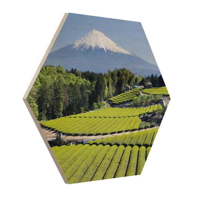 Hexagons houten schilderijen Tea Fields In Front Of The Fuji