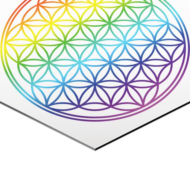 Hexagons Aluminium Dibond schilderijen Flower of Life rainbow color