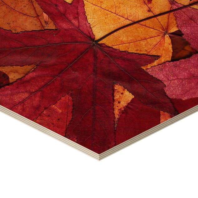 Hexagons houten schilderijen Coloured Leaves