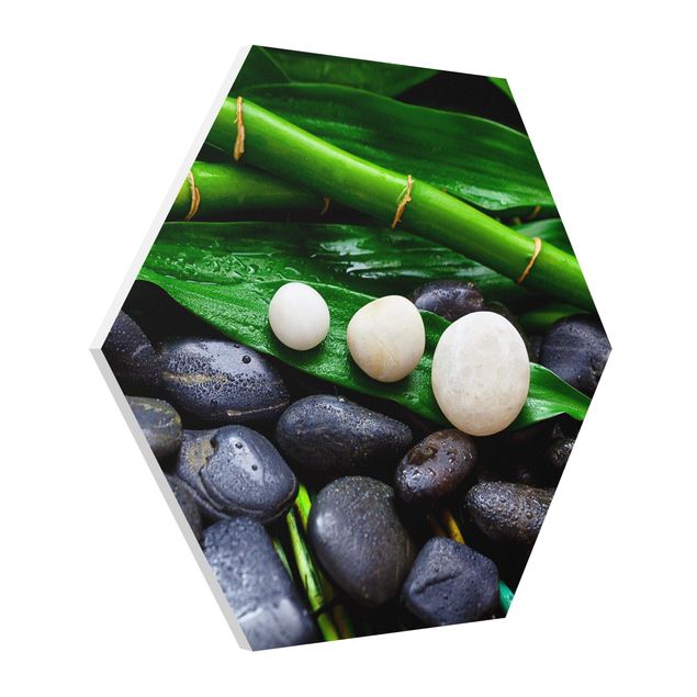 Hexagons Forex schilderijen Green Bamboo With Zen Stones