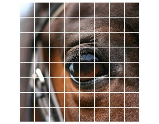 Tegelstickers Horse Eye