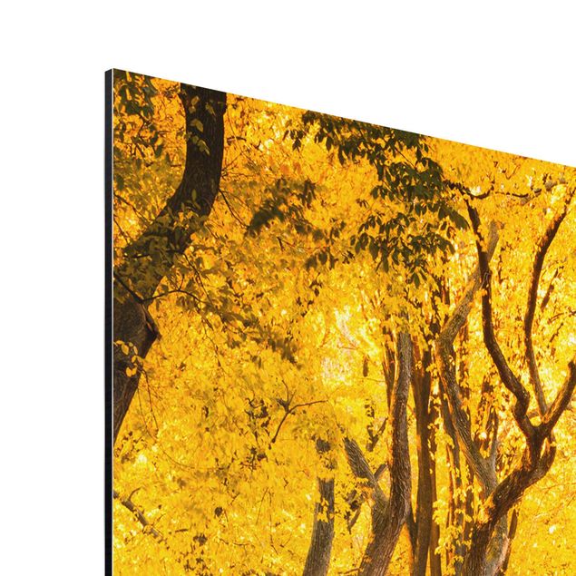 Aluminium Dibond schilderijen Autumn In Central Park