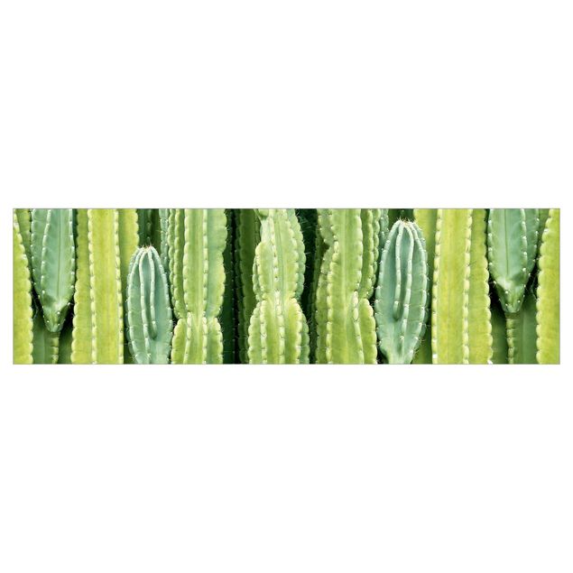 Keukenachterwanden Cactus Wall