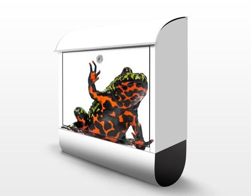 Brievenbussen Fire-bellied Toad