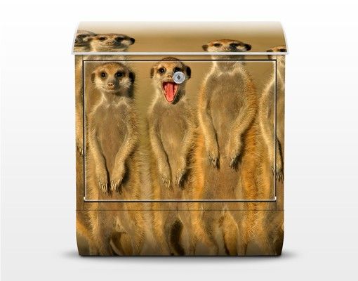 Brievenbussen Meerkat Family