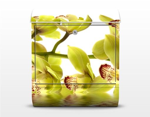 Brievenbussen Splendid Orchid Waters
