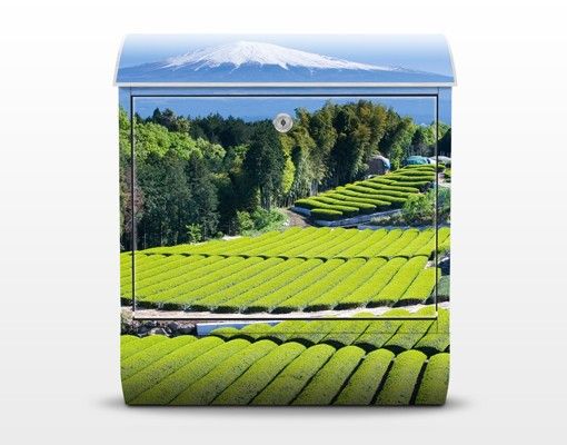 Brievenbussen Tea Fields In Front Of The Fuji