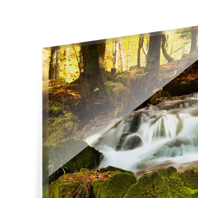 Spatscherm keuken Waterfall Autumnal Forest