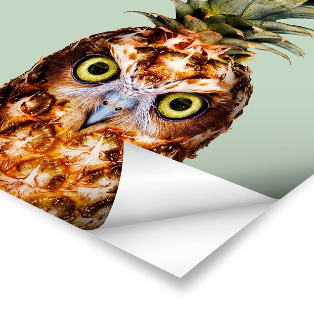 Posters Pineapple With Owl