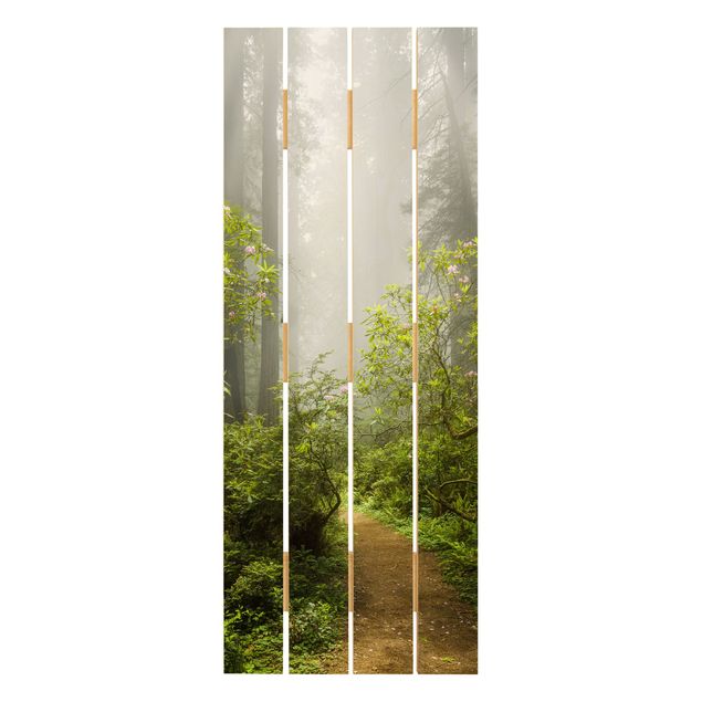Houten schilderijen op plank Misty Forest Path