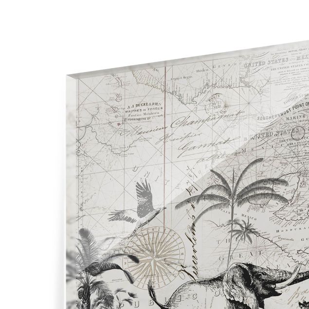 Spatscherm keuken Vintage Collage - Exotic Map