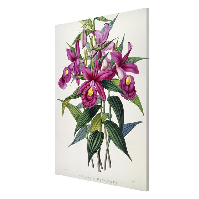 Magneetborden Maxim Gauci - Orchid I